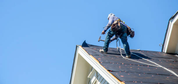 Roof Gutter Cleaning in Wheeling, WV
